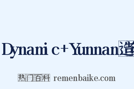 Dynamic+Yunnan造句是什么意思的图片